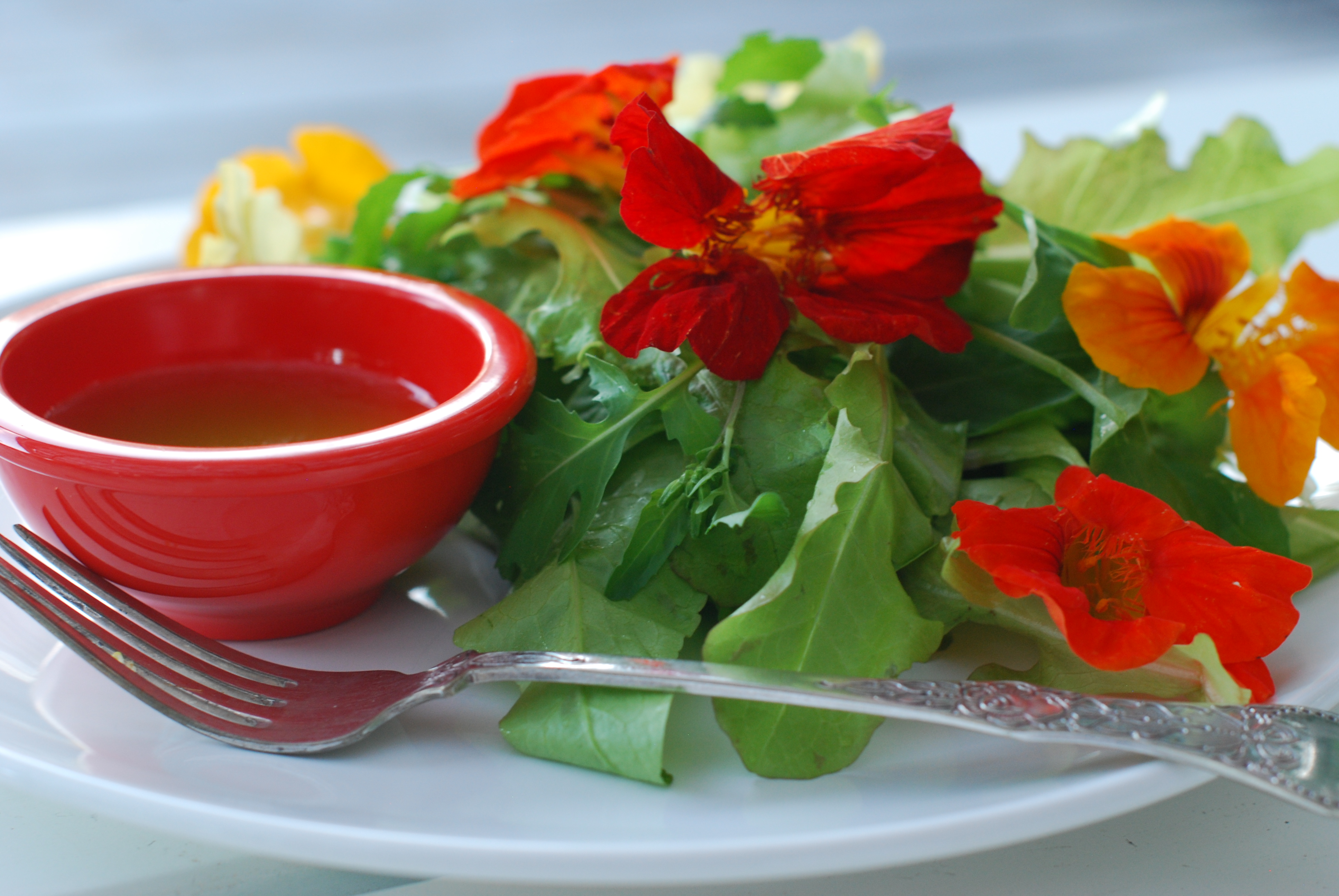 salata od cveca dragoljub