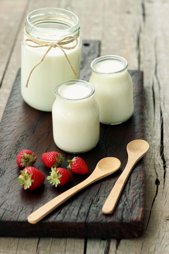jogurt kao probiotik